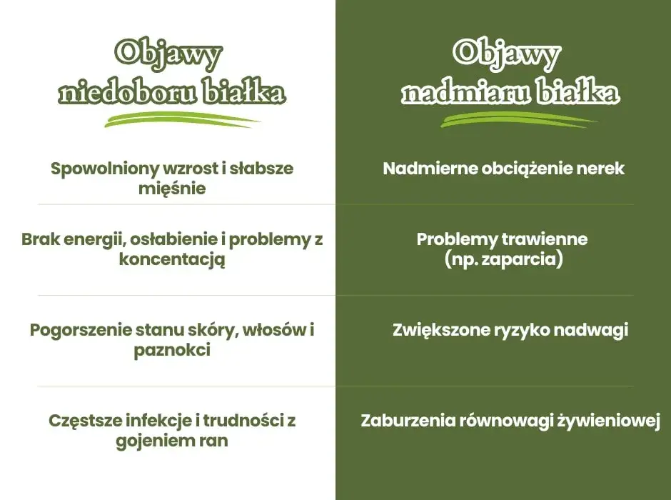grupy ryzyka niedoboru białka