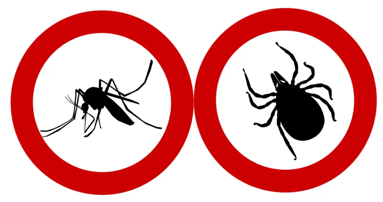Zakaz komar&oacute;w i kleszczy. Użyj sprayu z DEET 50, by się chronić.
