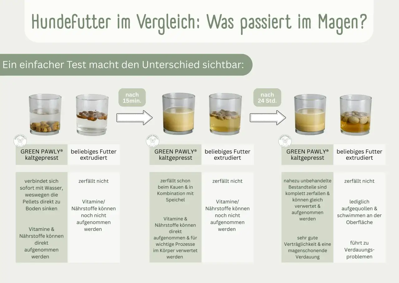Hundefutter-Test: Kaltgepresstes Futter l&ouml;st sich auf, zeigt ideale Zusammensetzung f&uuml;r Hundemagen. Extrudiertes Futter bleibt fest.