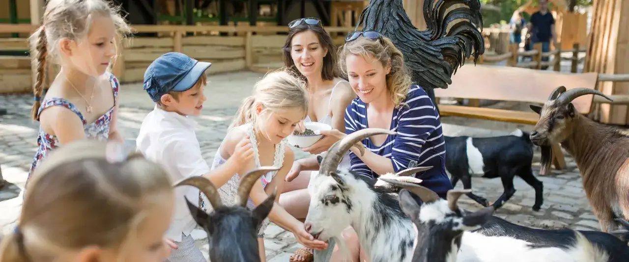 Familie f&uuml;ttert Ziegen im Streichelzoo. Ein sch&ouml;ner Tag in Berlin mit Kind und Tieren.