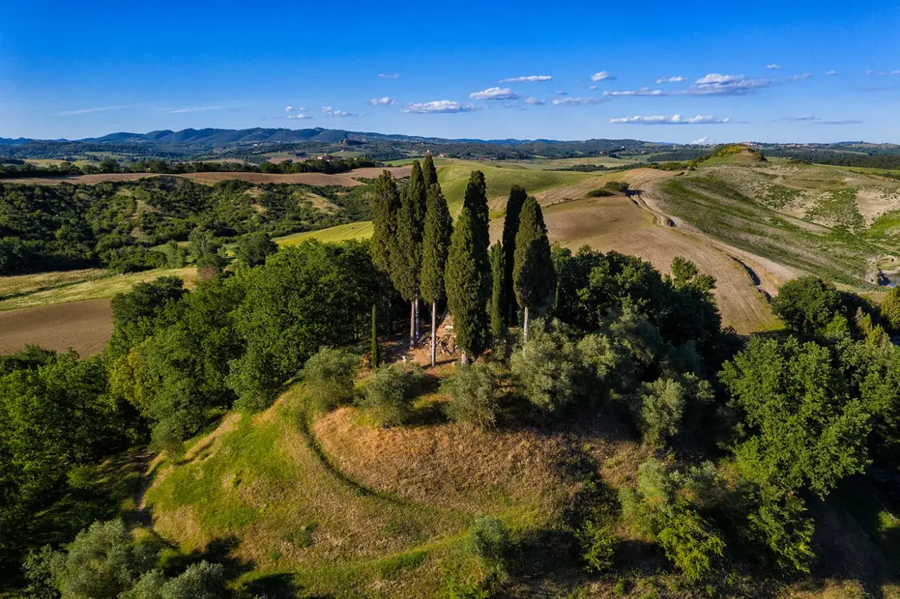 Colline toscane con cipressi e ulivi, un paesaggio che evoca la pace della fattoria Carpineta Fontalpino.