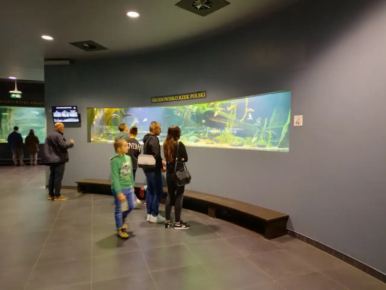 Rodzina ogląda ryby w akwarium 