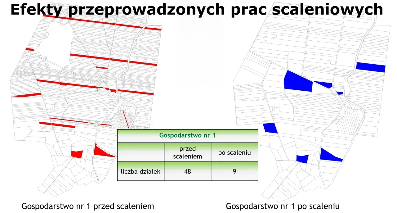 Mapy pokazujące efekty scalenia gruntów. Po lewej gospodarstwo nr 1 przed scaleniem (48 działek, zaznaczone czerwonymi prostokątami), po prawej po scaleniu (9 działek, zaznaczone niebieskimi prostokątami).