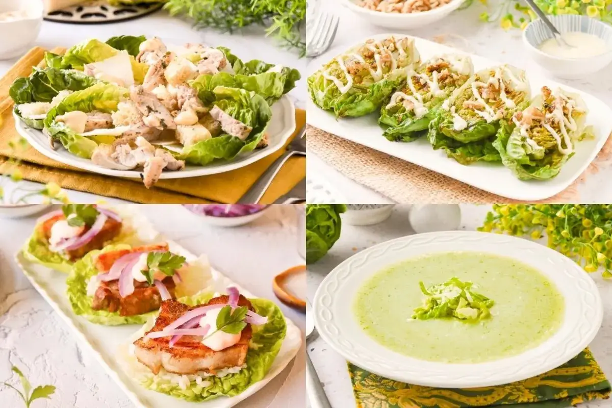 Cuatro deliciosas recetas con lechuga: ensalada C&eacute;sar, rollitos rellenos, bocaditos de carne y sopa cremosa.