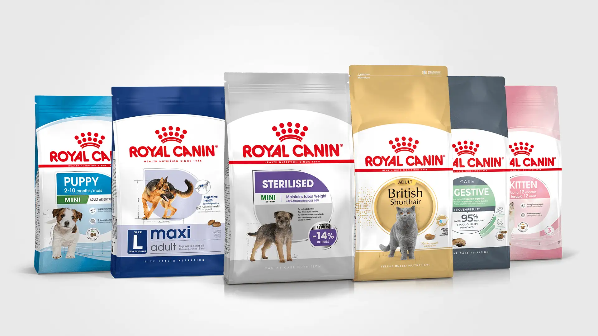 R&oacute;żne karmy Royal Canin: szczeniak, dorosły pies, sterylizowany, kot brytyjski kr&oacute;tkowłosy, kot sterylizowany, kocię. Czy szczeniak może jeść karmę dla dorosłych ps&oacute;w? Sprawdź etykiety!