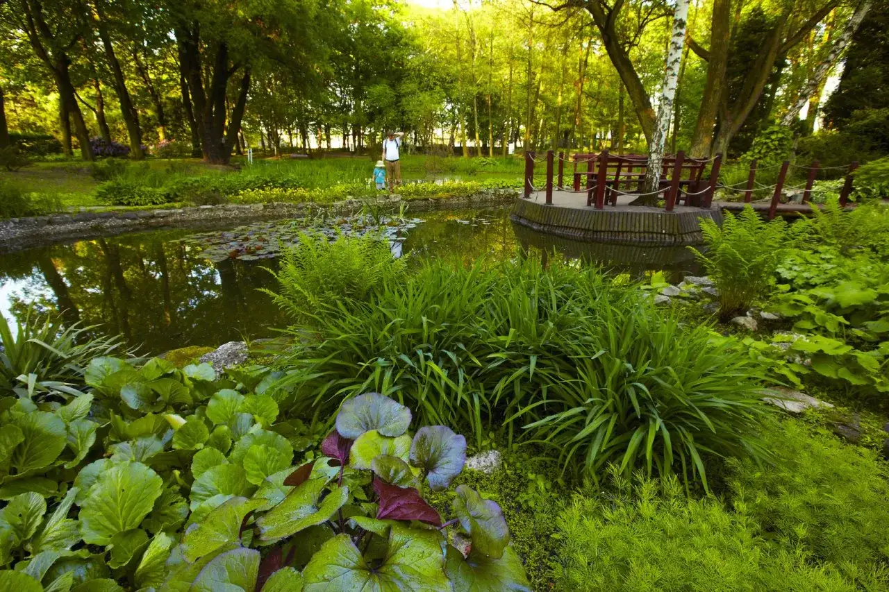 Miejski Ogród Botaniczny Zabrze rosarium