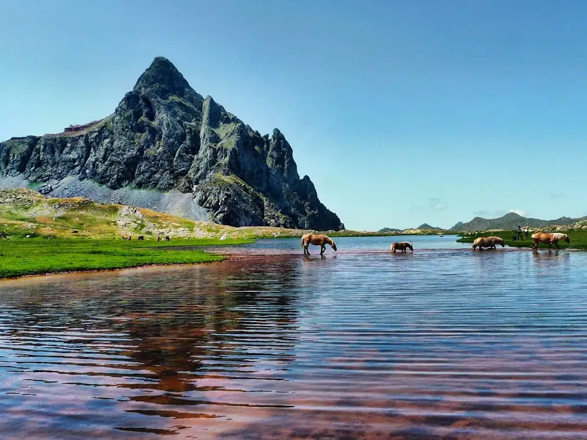 Caballos pastando en un lago sereno, con imponentes montañas de los valles de Huesca de fondo.