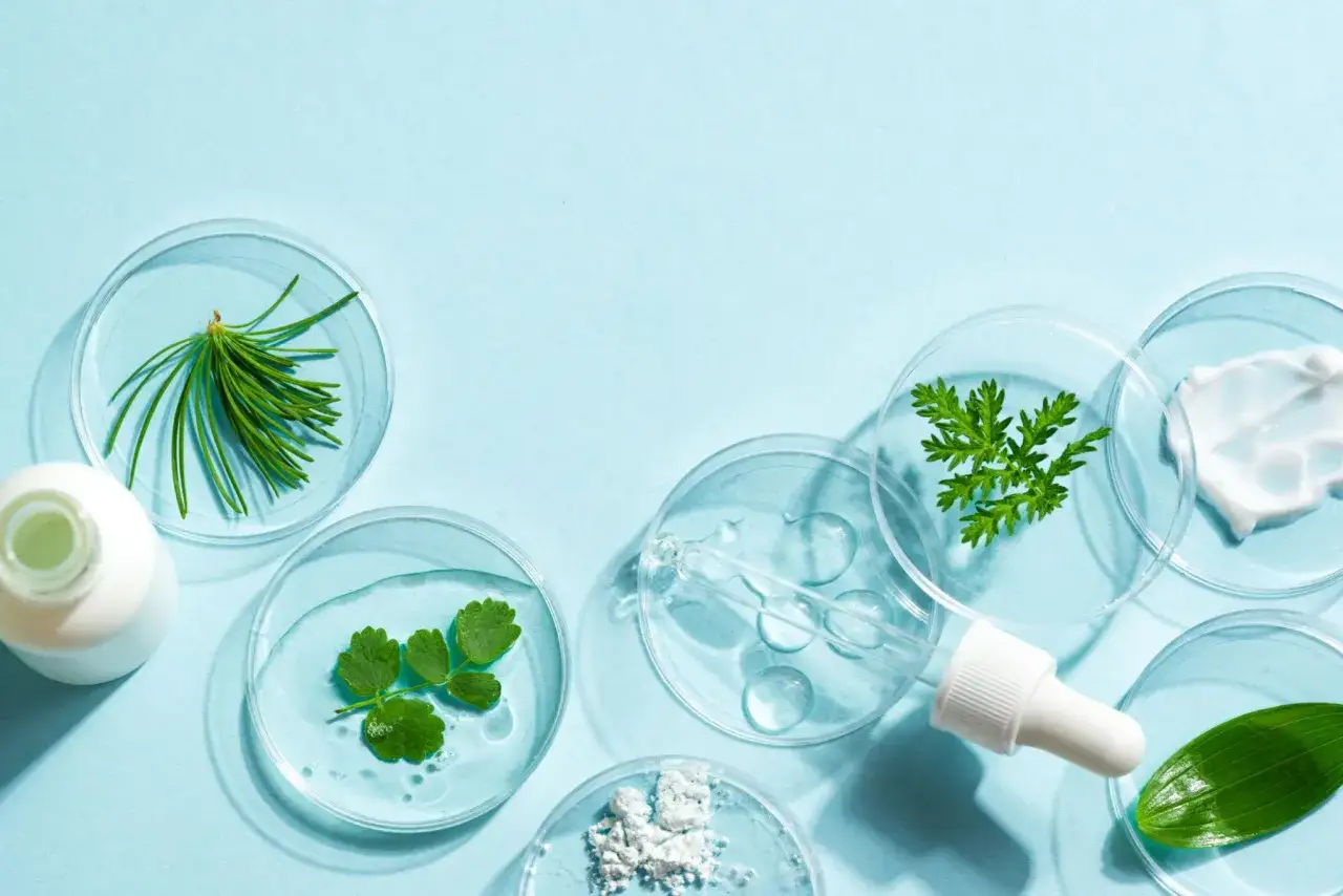 Badania kosmetyczne: rośliny, krem, płyn i proszek, w tym acrylates/c10-30 alkyl acrylate crosspolymer, w szalkach Petriego.