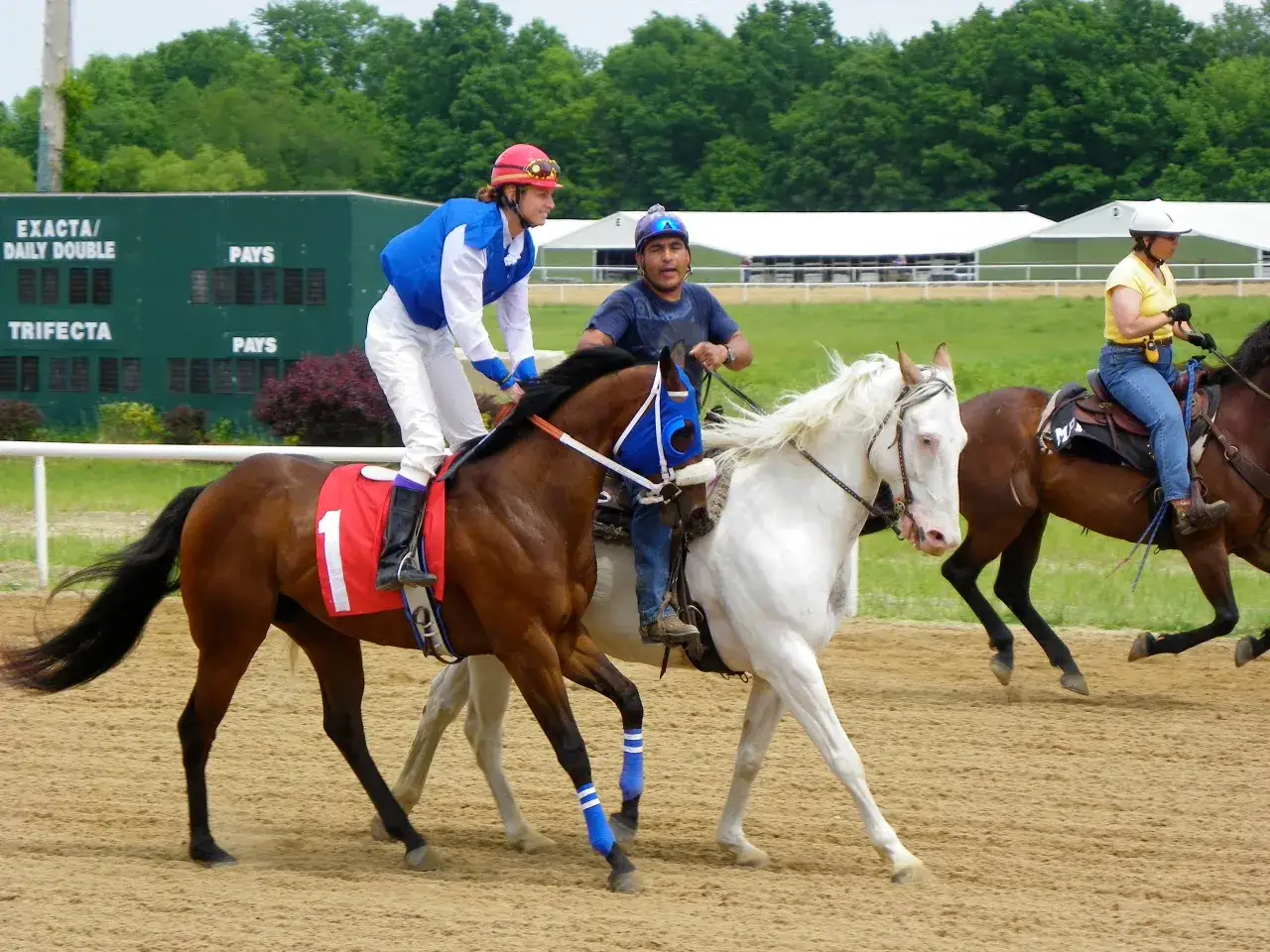 Trois chevaux de course, dont un Quarter Horse, s'élancent sur la piste. Les jockeys sont prêts pour la compétition.