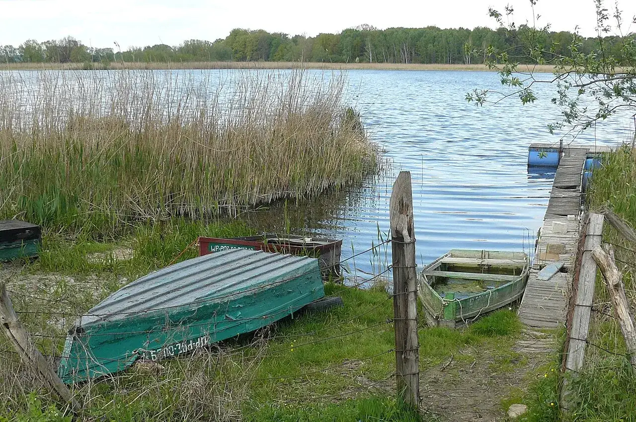 Łodzie przy brzegu jeziora Kierskiego Małego, trzciny i drewniany pomost.
