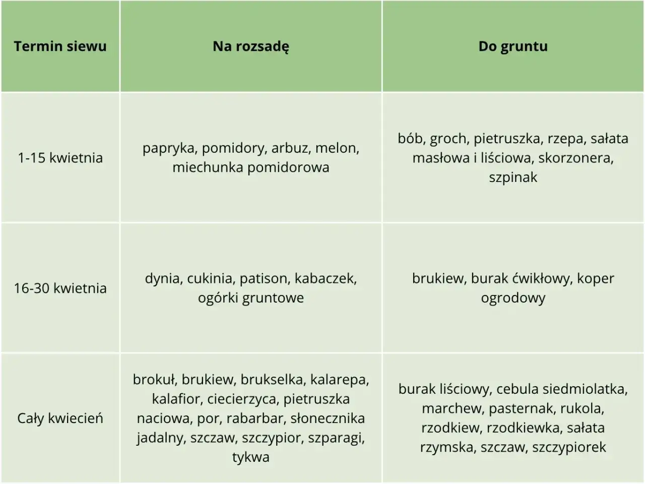 Tabela podpowiada, co siać w kwietniu do gruntu: bób, groch, rzepę, sałatę, szpinak (1-15 kwietnia), brukiew, buraka, koper (16-30 kwietnia), a także marchew, rukolę, rzodkiewkę i inne warzywa przez cały kwiecień.