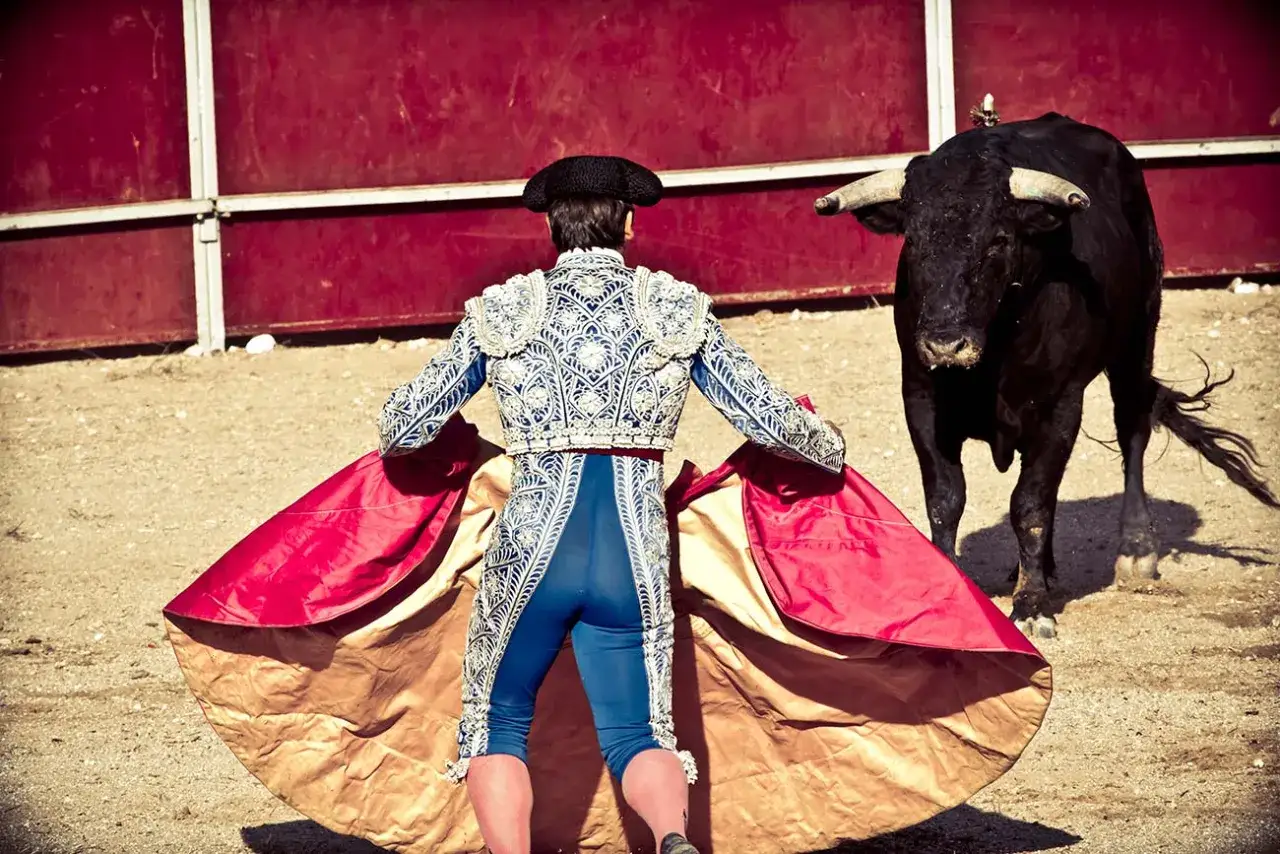 Un torero con traje de luces y capote rojo y dorado se enfrenta a un toro negro. Las reglas del toreo dictan este tenso momento.