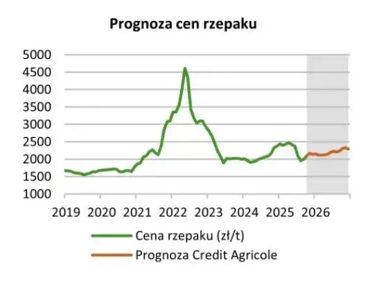 mapa cen rzepaku w Polsce 2026