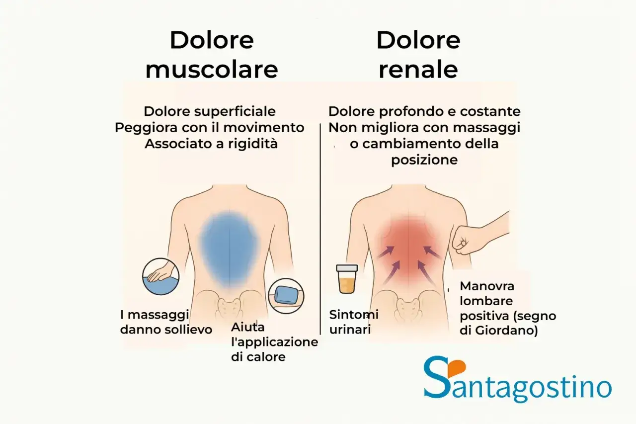 Confronto tra dolore muscolare e dolore renale. Il mal di schiena altezza reni, se profondo e costante, potrebbe indicare un problema renale.