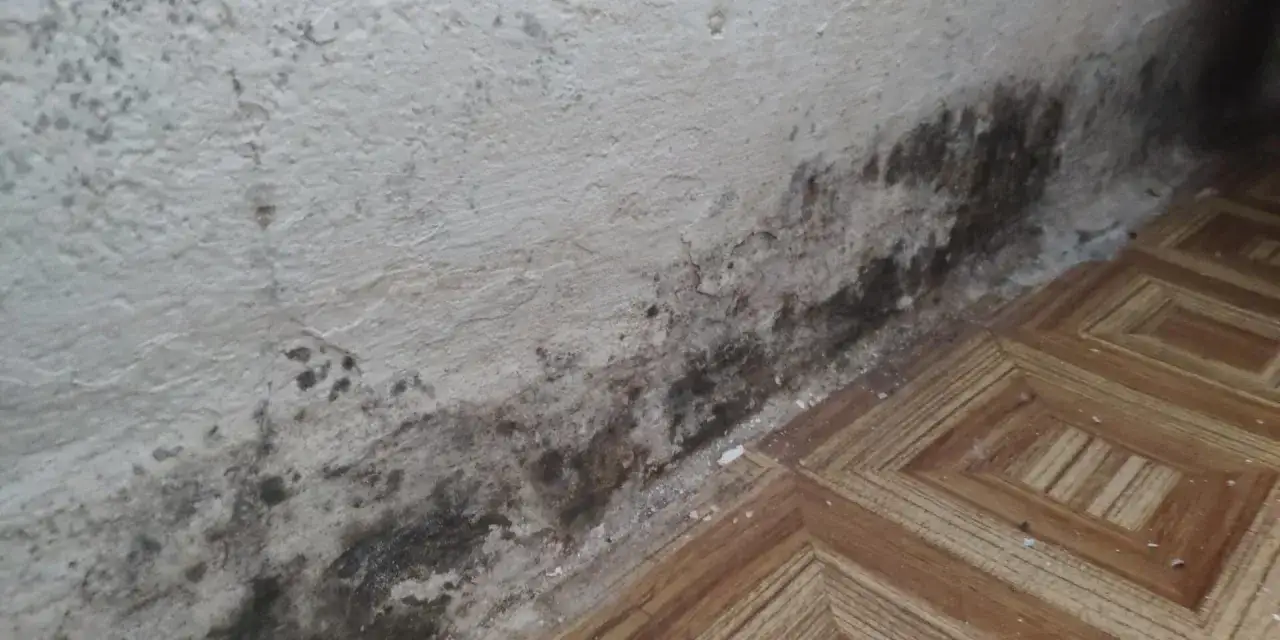 Pleśń na ścianie przy podłodze, świadcząca o problemie z kapilarnym podciąganiem wody.