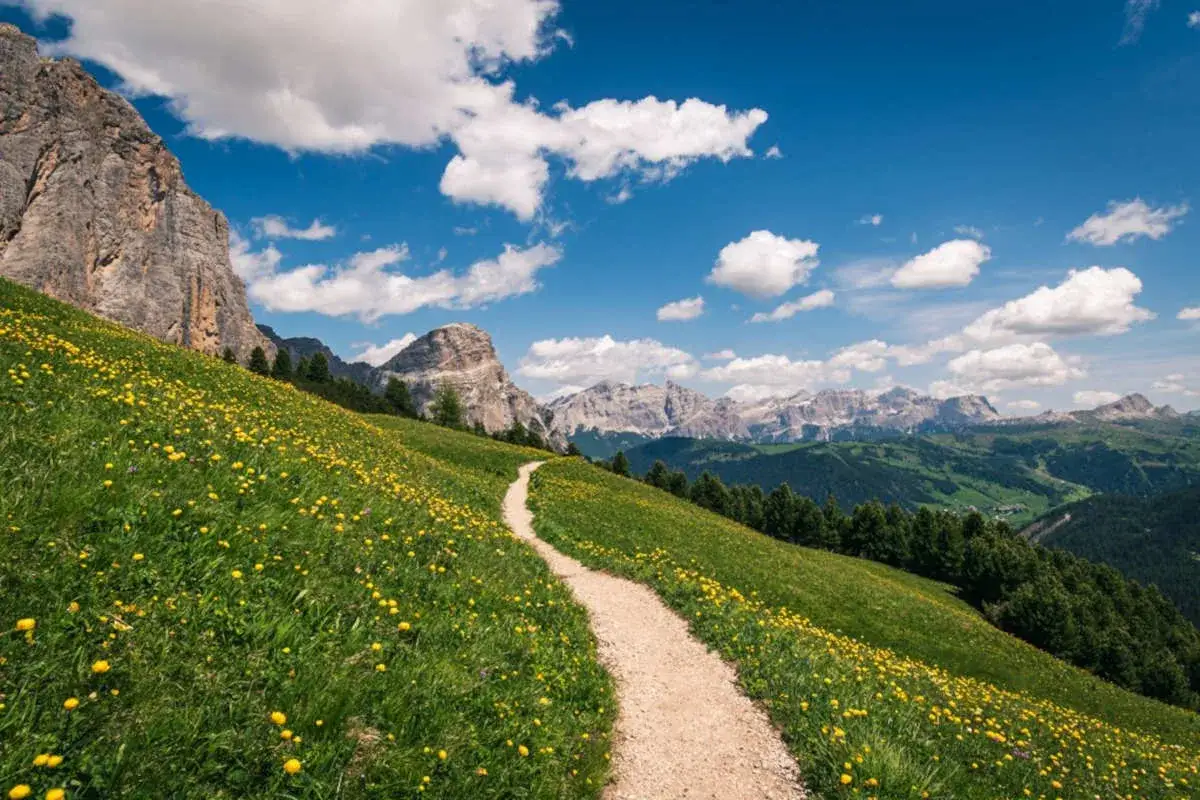 Sentiero in montagna fiorito, il **fast hiking significato** è godersi la natura con passo svelto.