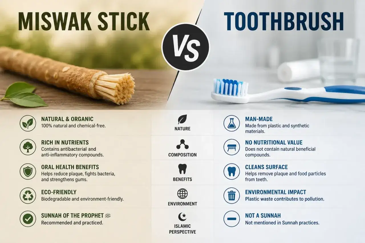 Porównanie miswaka i szczoteczki: miswak co to jest? Naturalny, bogaty w składniki odżywcze, przyjazny środowisku, zgodny z Sunną. Szczoteczka jest sztuczna, bez wartości odżywczych.