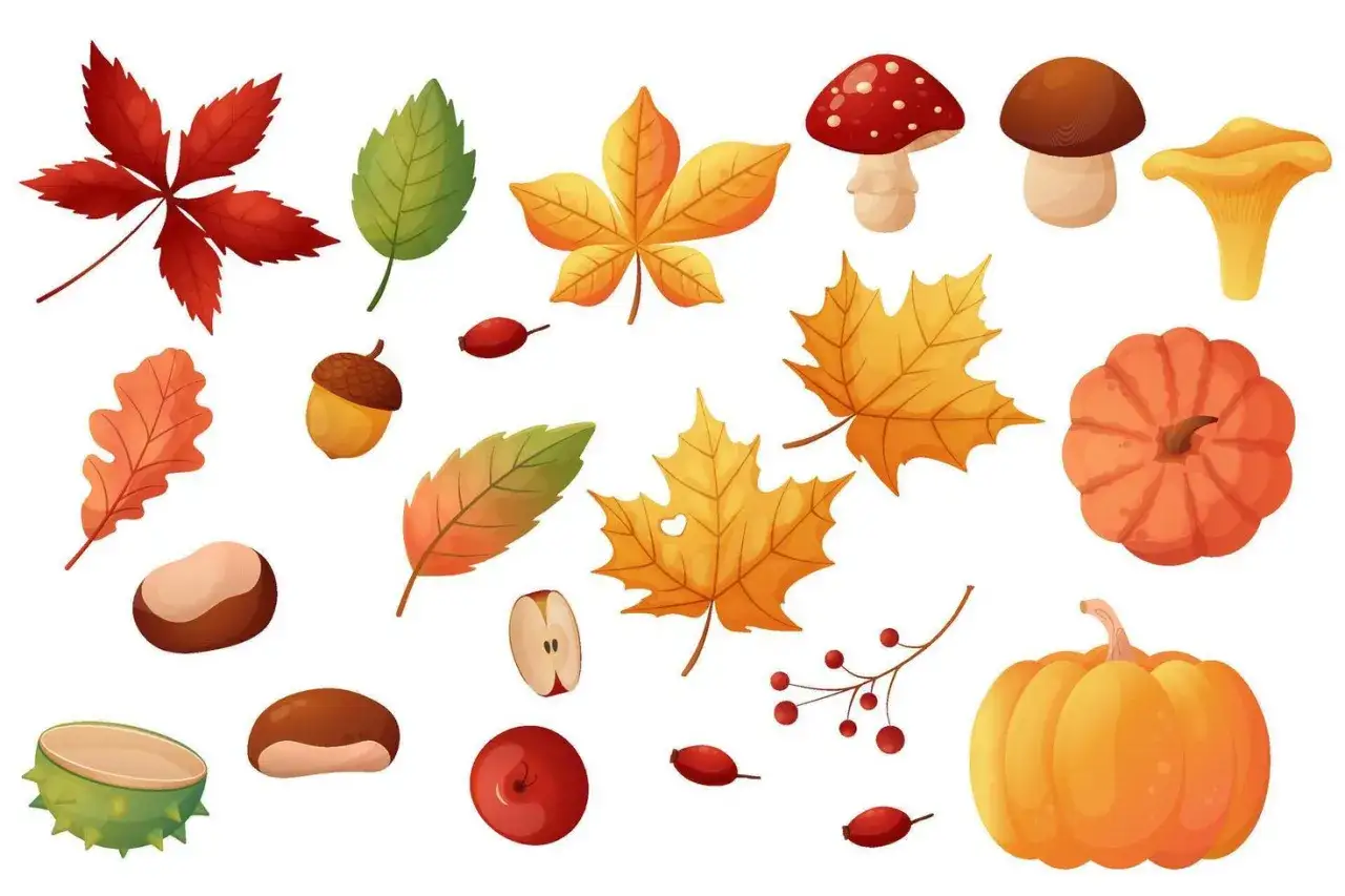Elementos del **vocabulario de oto&ntilde;o**: hojas de arce, roble, bellotas, casta&ntilde;as, setas, calabazas y bayas.