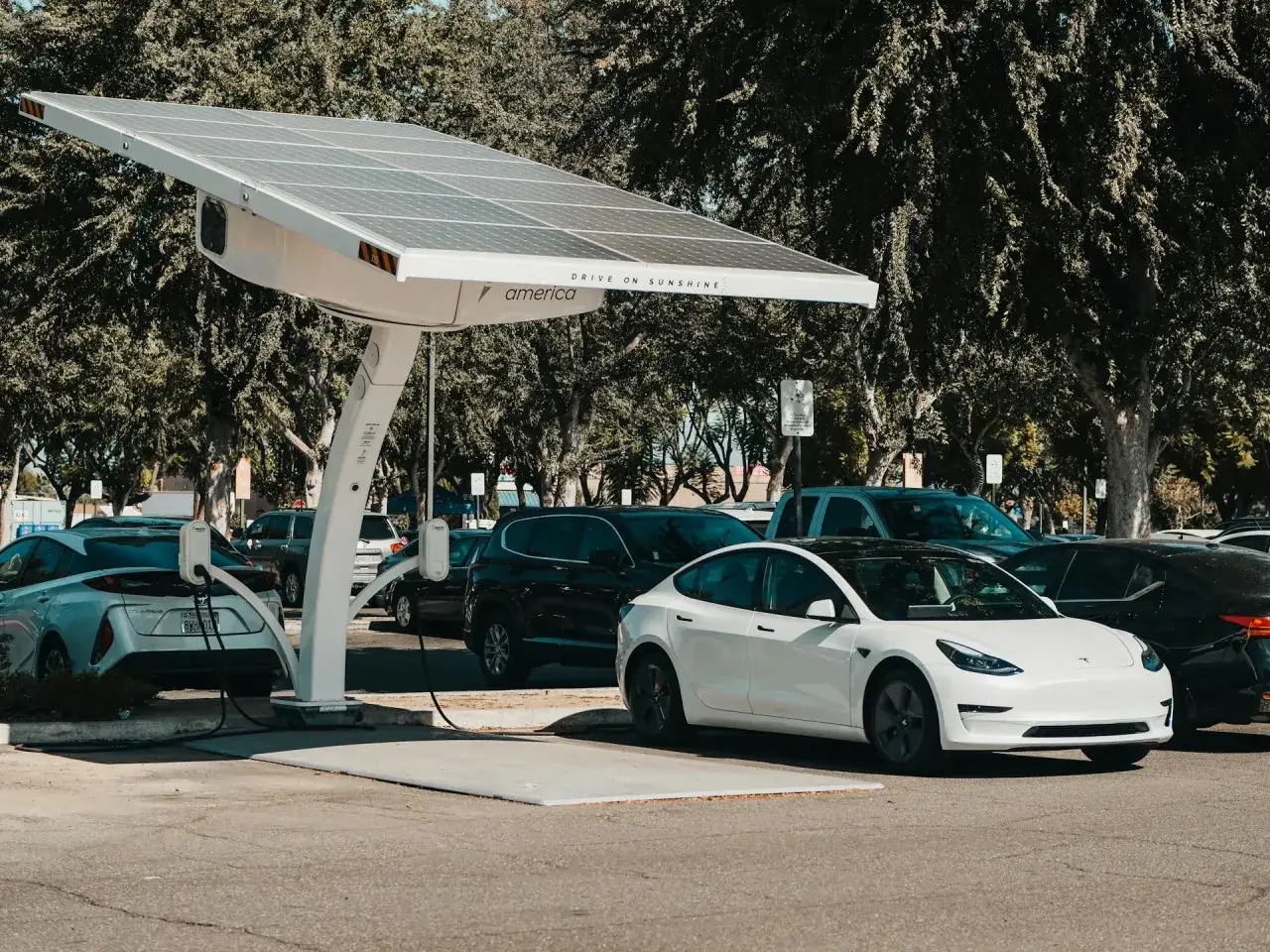 Koszty importu Tesla USA Polska