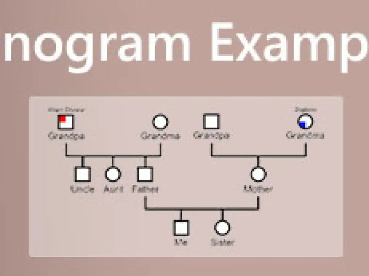 Schemat rodziny, przykład analizy w ramach **coaching systemowy**. Pokazuje relacje między członkami rodziny.