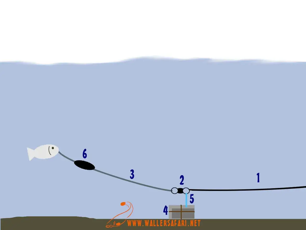 Schema einer u posen montage: K&ouml;derfisch (6) schwimmt, w&auml;hrend ein Wurm (4) am Grund wartet.