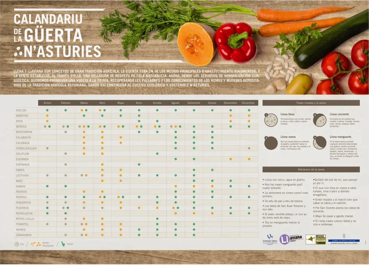 Calendario de huerta asturiana: en julio se planta pimientos, tomates y zanahoria.