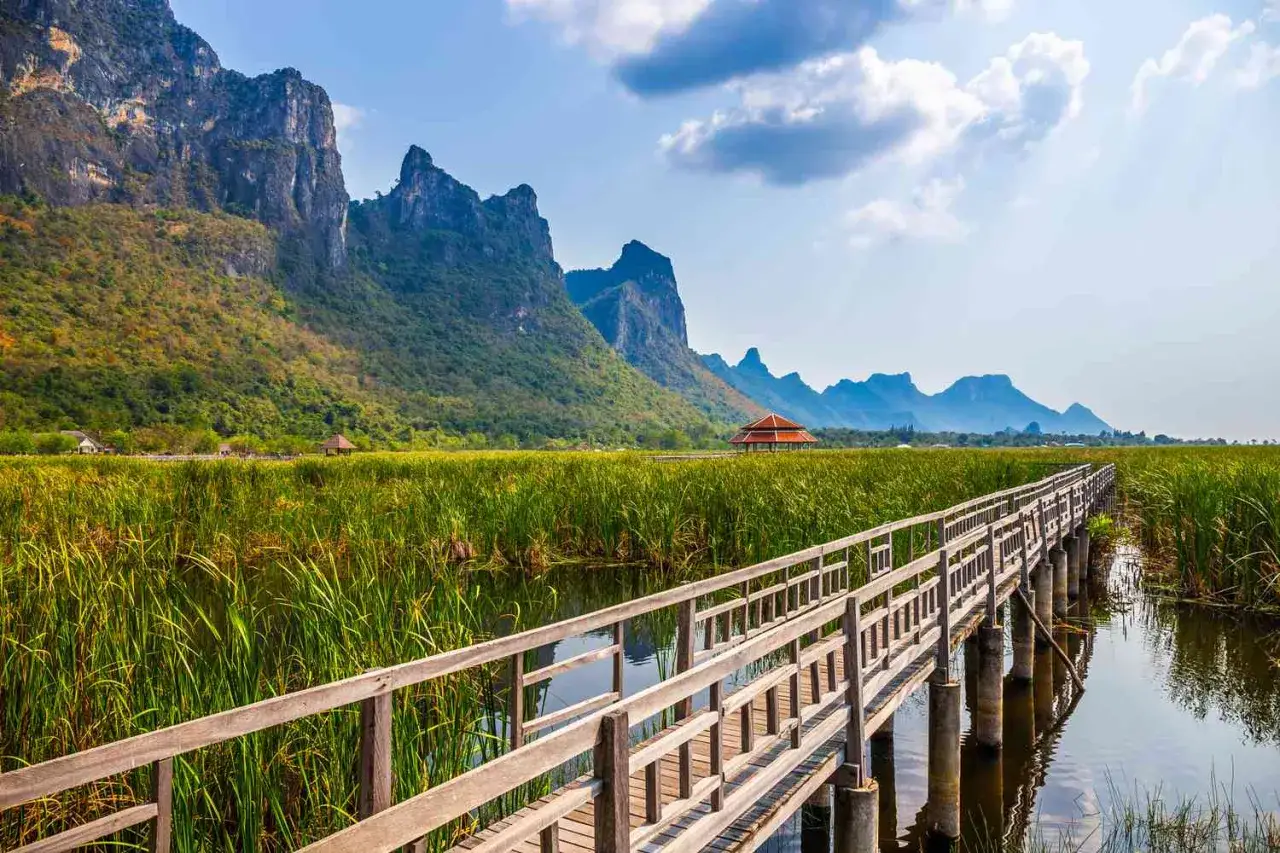 Holzsteg f&uuml;hrt durch &uuml;ppige Vegetation im **Thailand Regenwald** mit majest&auml;tischen Bergen im Hintergrund.