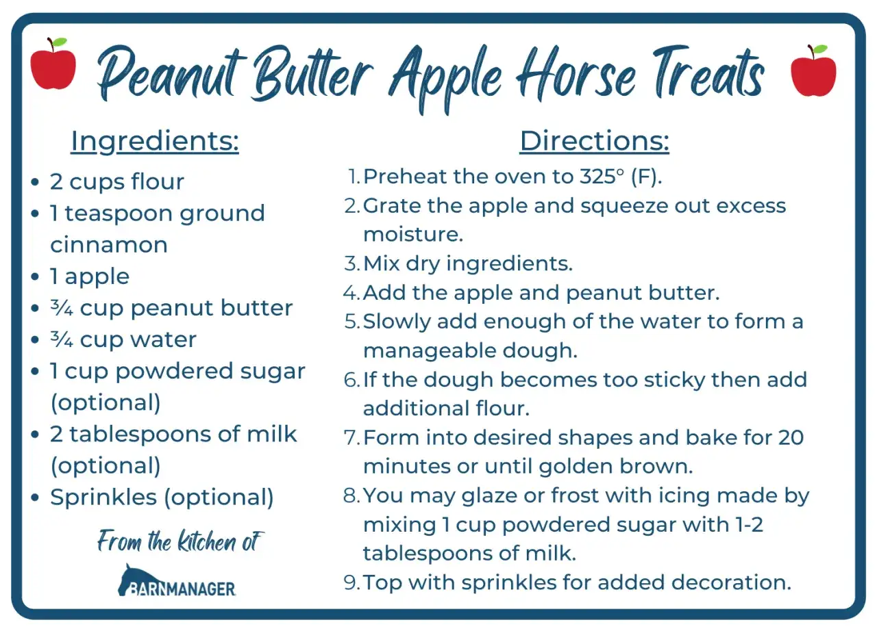 Recette de friandise pour chevaux fait maison : beurre de cacahuète et pomme. Ingrédients et instructions pour des friandises sans cuisson.