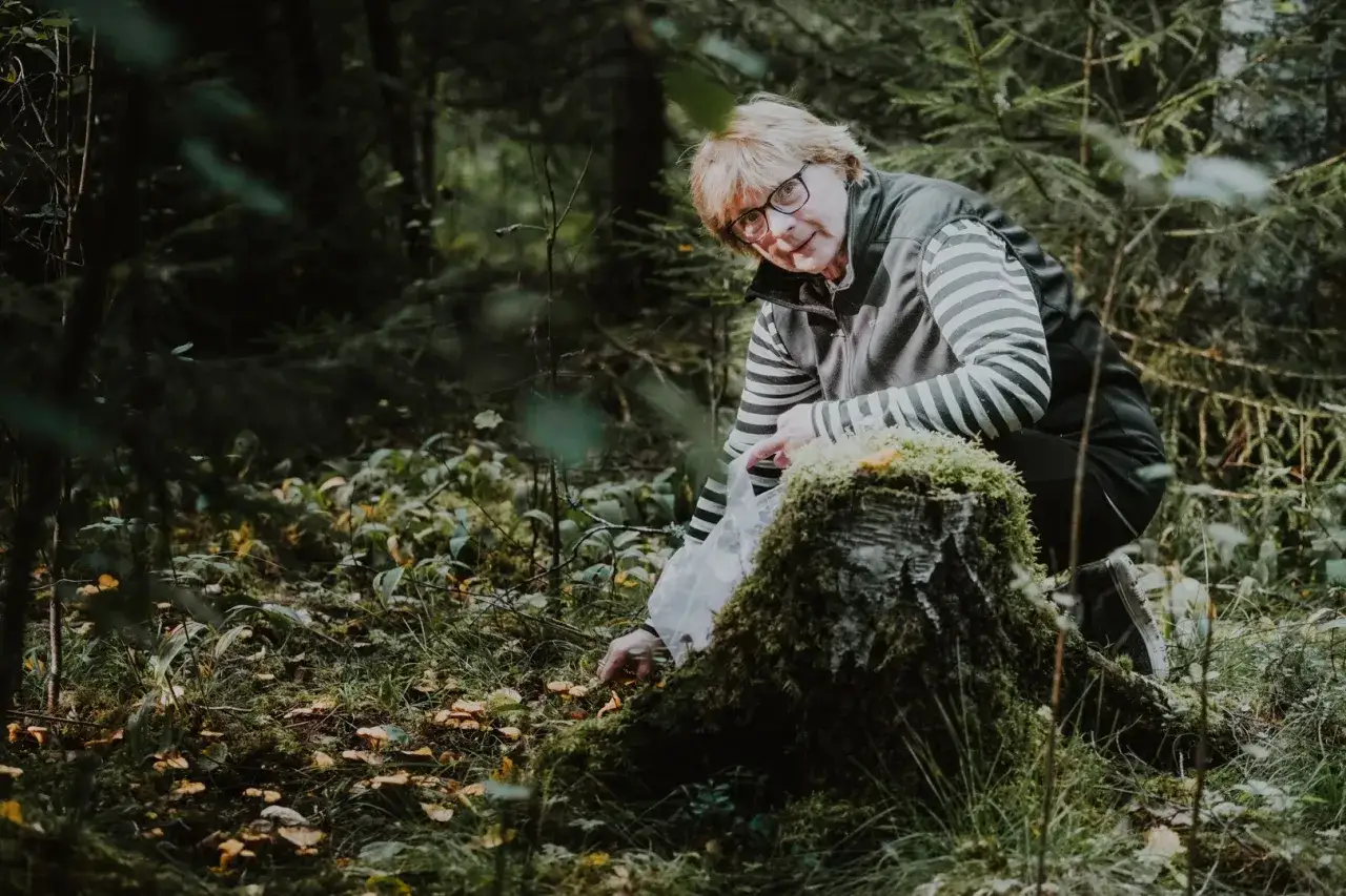 En kvinna med glasögon böjer sig ner i skogen, som en svamp guide, för att plocka svamp.