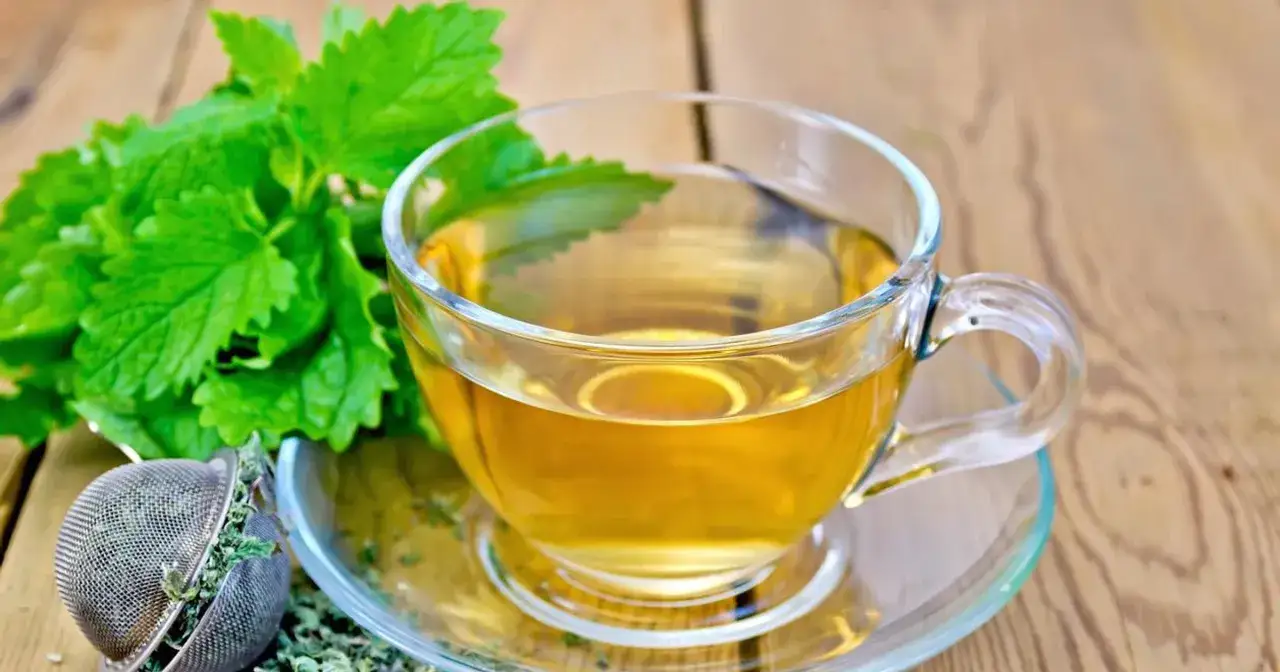 Aromatyczna melisa w szklanej filiżance, obok świeże liście i zaparzacz z suszem.
