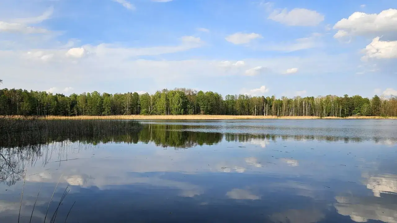 Spokojne jezioro odbija błękitne niebo z chmurami. Na horyzoncie las i trzciny, krajobraz przypomina malownicze wzgórza ostrzeszowskie.