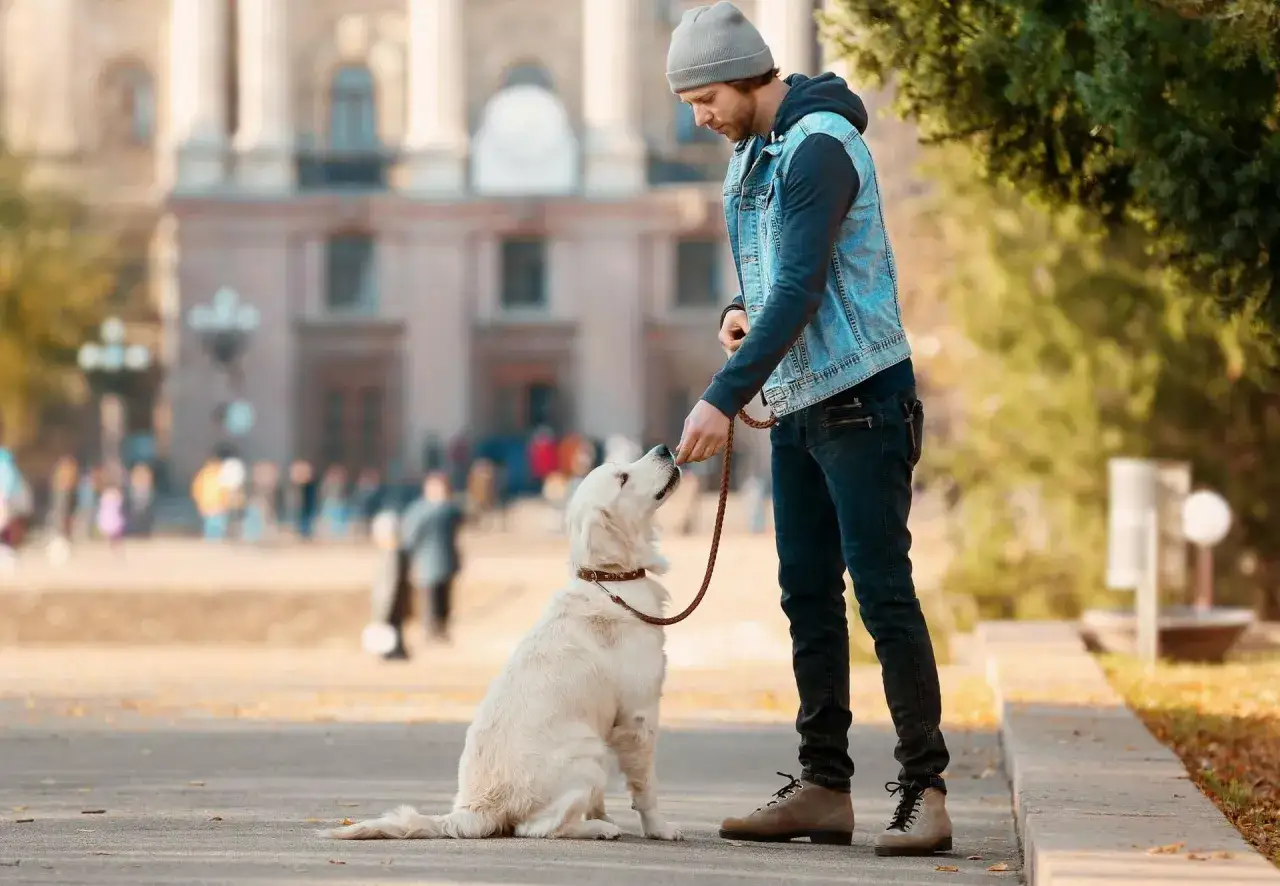 Mann belohnt seinen Hund f&uuml;r gutes Verhalten. Das Hund erziehen beginnt mit Vertrauen und Geduld.