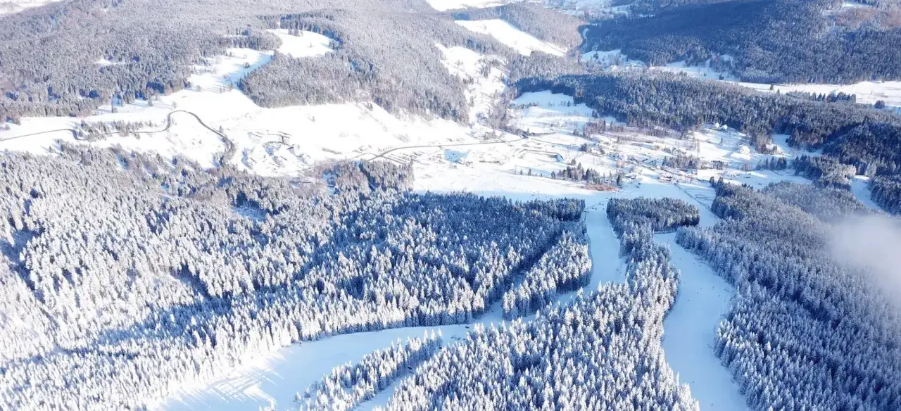 Ośnieżone lasy i stoki ośrodka narciarskiego Czarna Góra w zimowej scenerii.