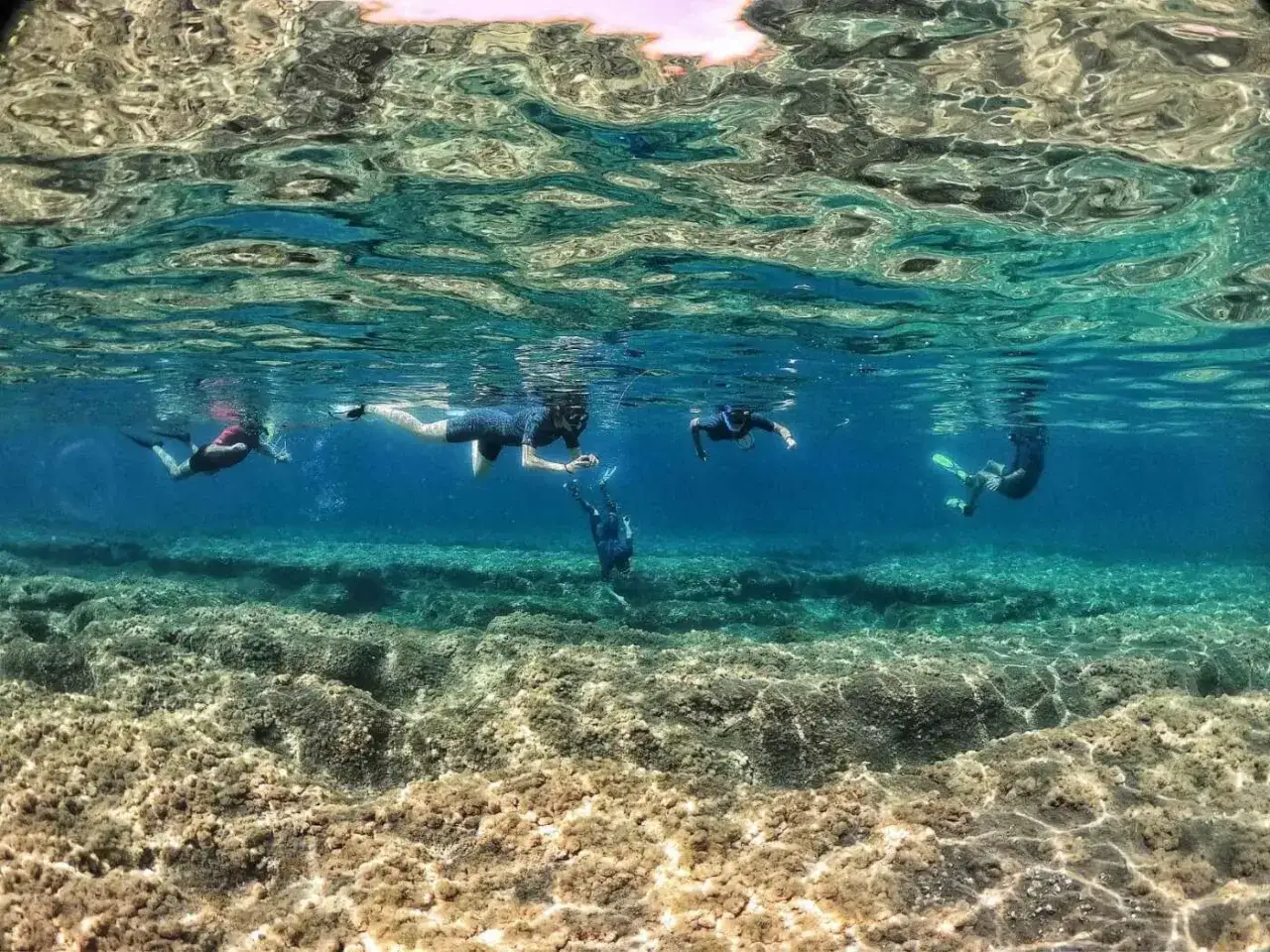 Gente haciendo snorkel cerca de la playa del embarcadero, explorando el fondo marino rocoso bajo aguas cristalinas.