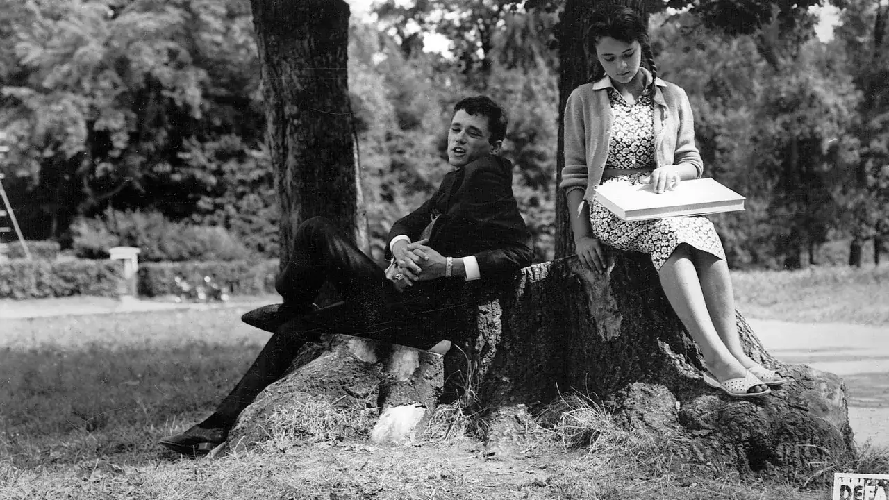 Ein junges Paar sitzt im Park. Sie erinnert an die Zeit der DDR Filme Mediathek.