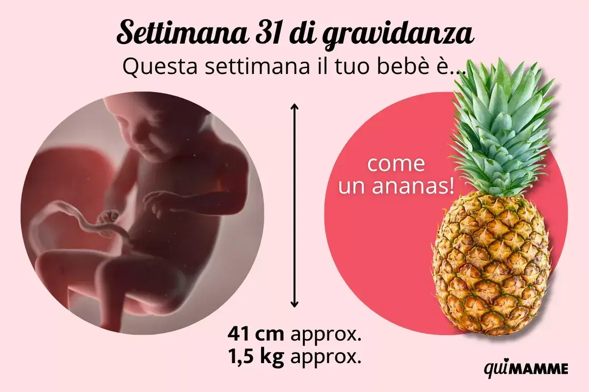A 31 settimane di gravidanza, il tuo bimbo è grande come un ananas! Pesa circa 1,5 kg.