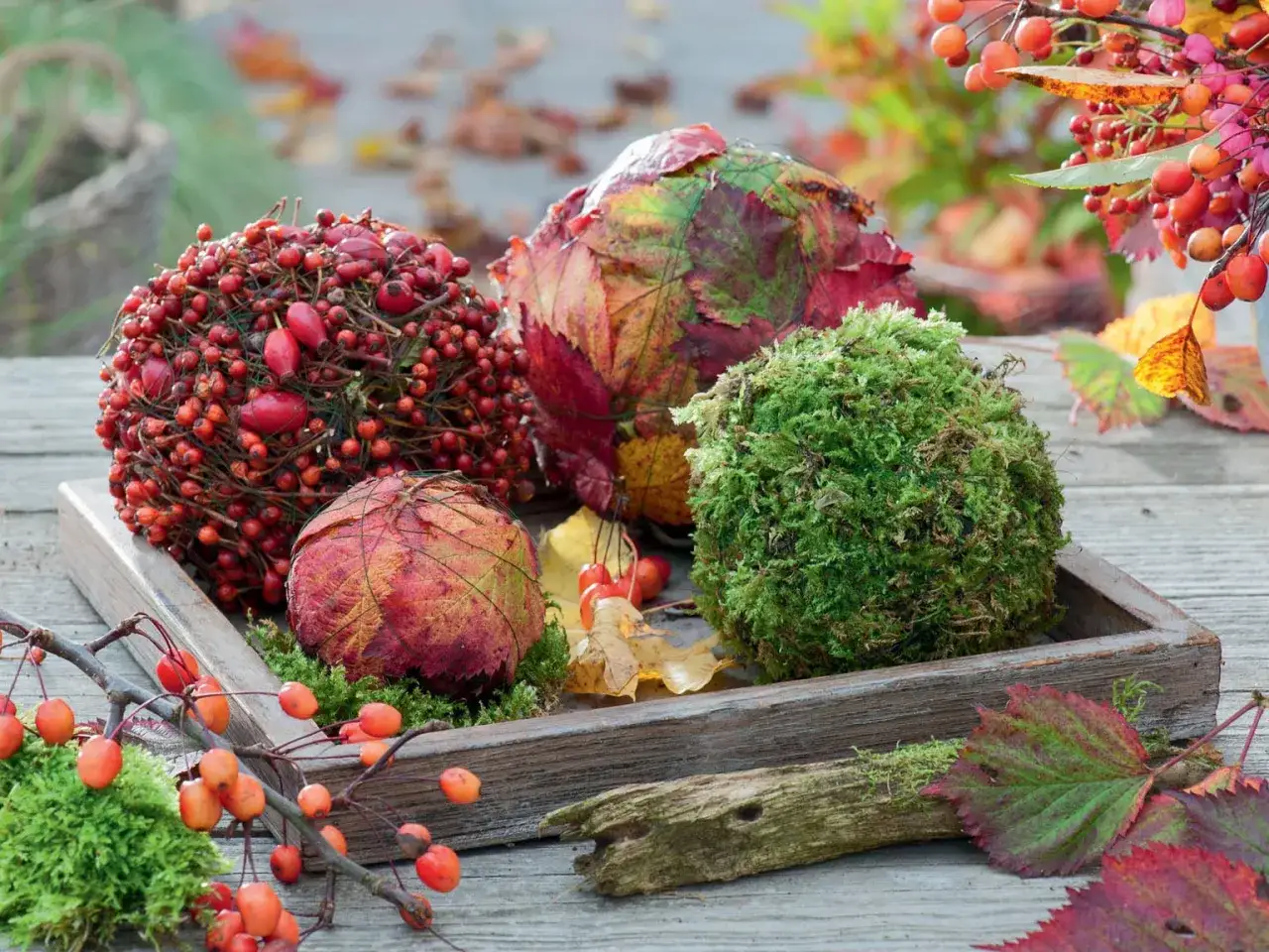 Dekorative Kugeln aus Beeren, Moos und Bl&auml;ttern &ndash; perfekt f&uuml;r herbstliche Deko zum Basteln.
