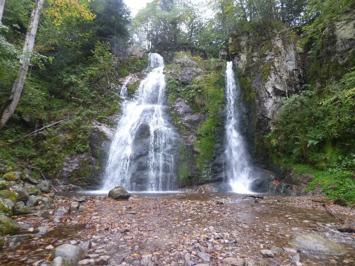 La cascade du Heidenbad dévale une paroi rocheuse verdoyante, entourée d'arbres. L'eau tombe en plusieurs filets dans un bassin peu profond.