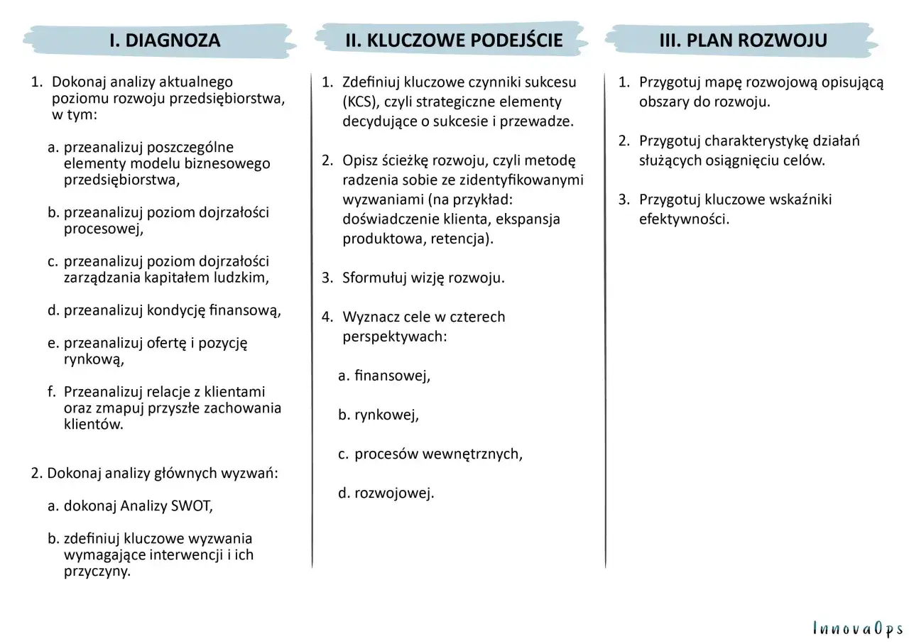 Trzyetapowy proces rozwoju firmy: diagnoza, kluczowe podejście i plan rozwoju, kt&oacute;ry obejmuje wizję firmy.