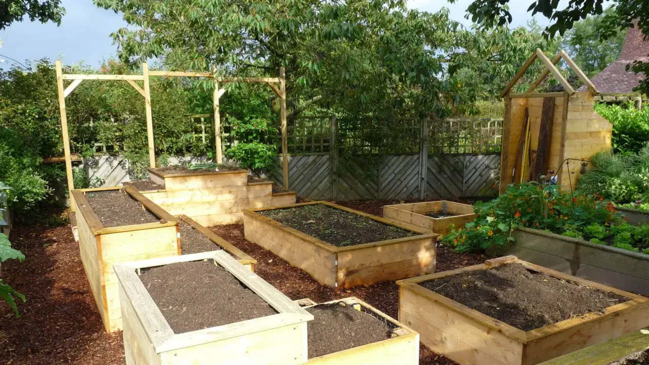 Jardin avec carrés potagers en bois. Idéal pour savoir comment faire pourrir une souche et enrichir le sol.