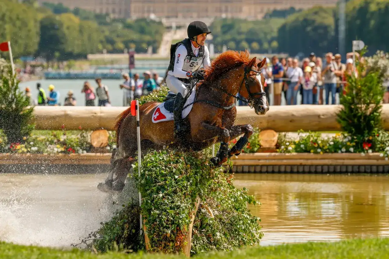 Un cavalier et son cheval brun sautent un obstacle végétal dans un concours hippique. L'arpege de Pierreville résonne dans l'air.
