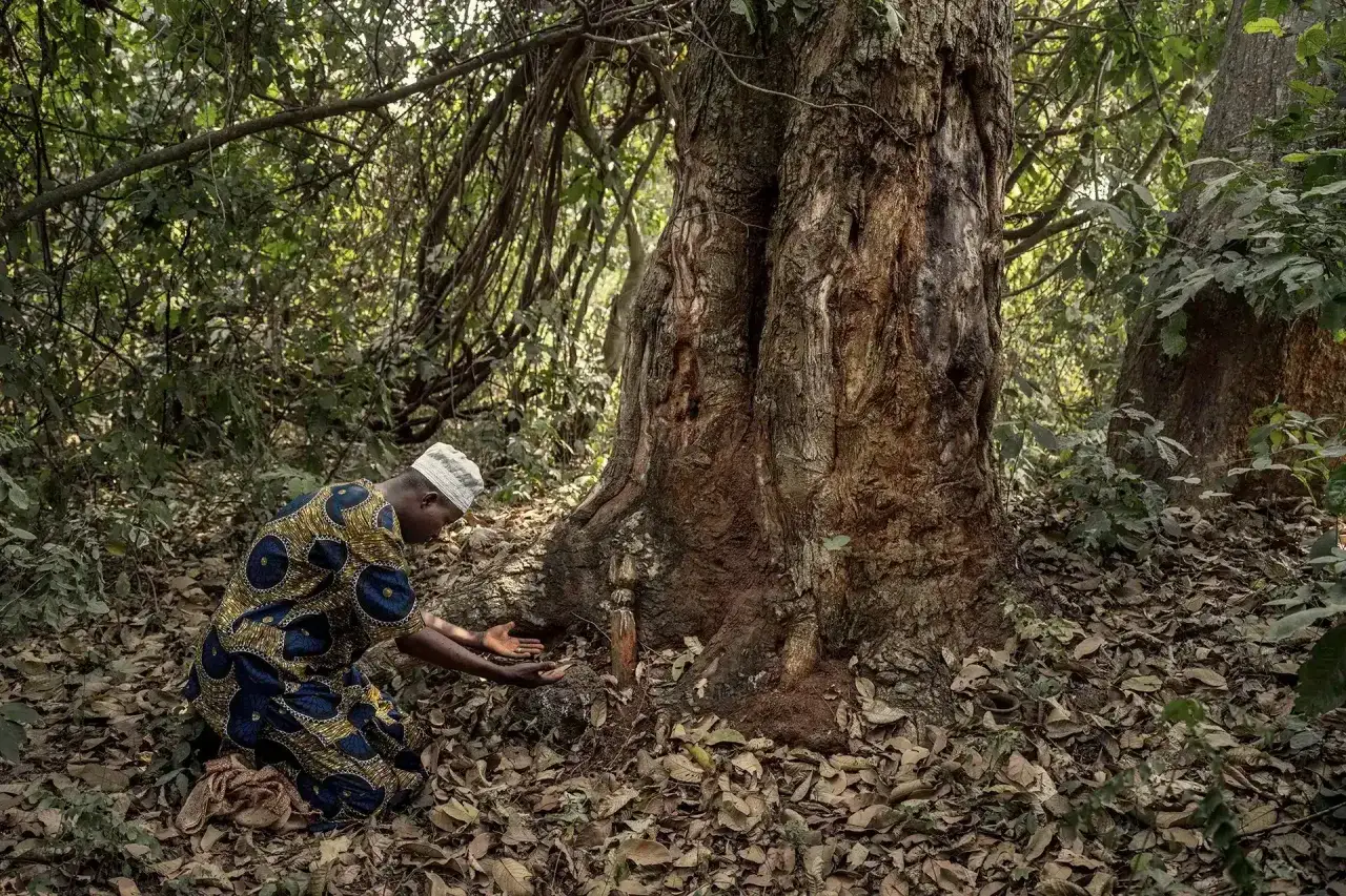 Un homme agenouillé devant un arbre ancien, mains ouvertes, dans le cadre d'un reportage photo. La scène évoque un rituel ou une connexion profonde avec la nature.