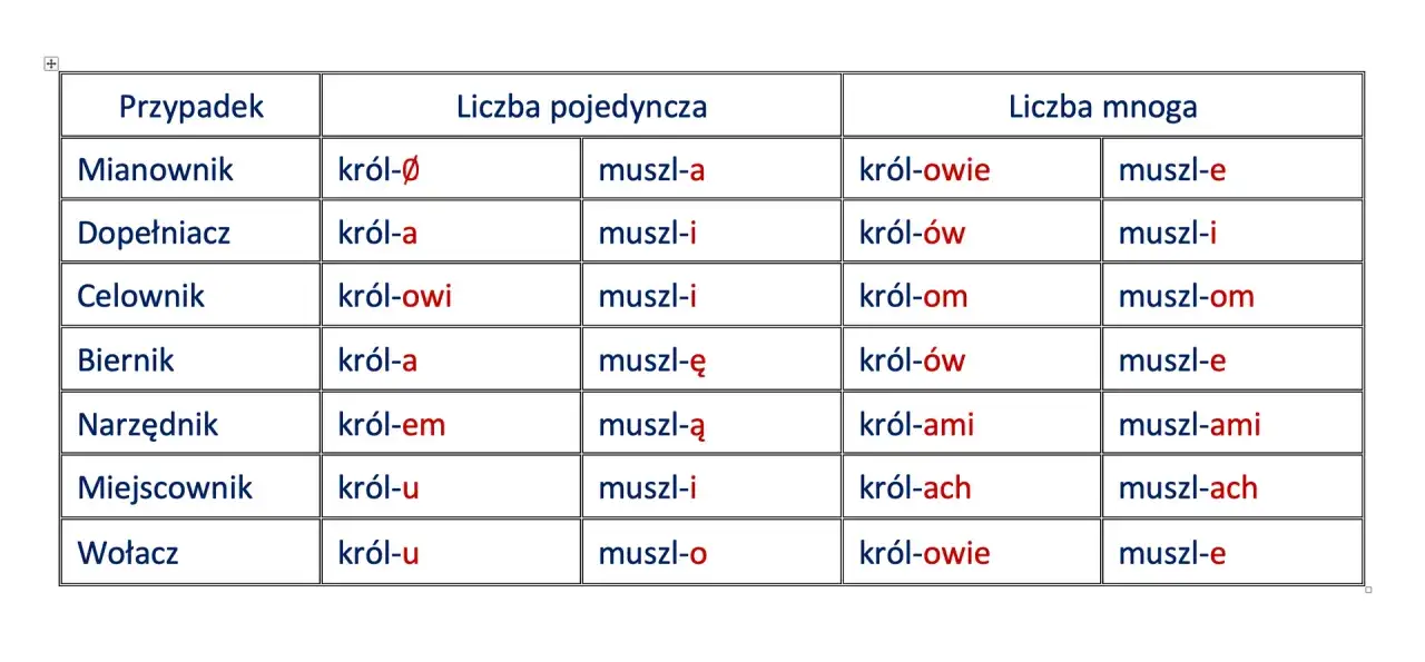 Tabela odmiany słów 