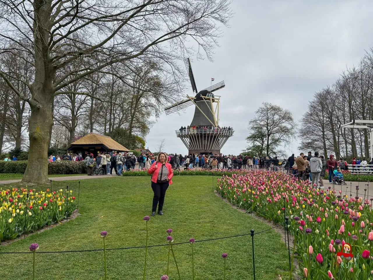 Una mujer posa en un campo de tulipanes frente a un molino de viento, un clásico de **que ver en Holanda**.
