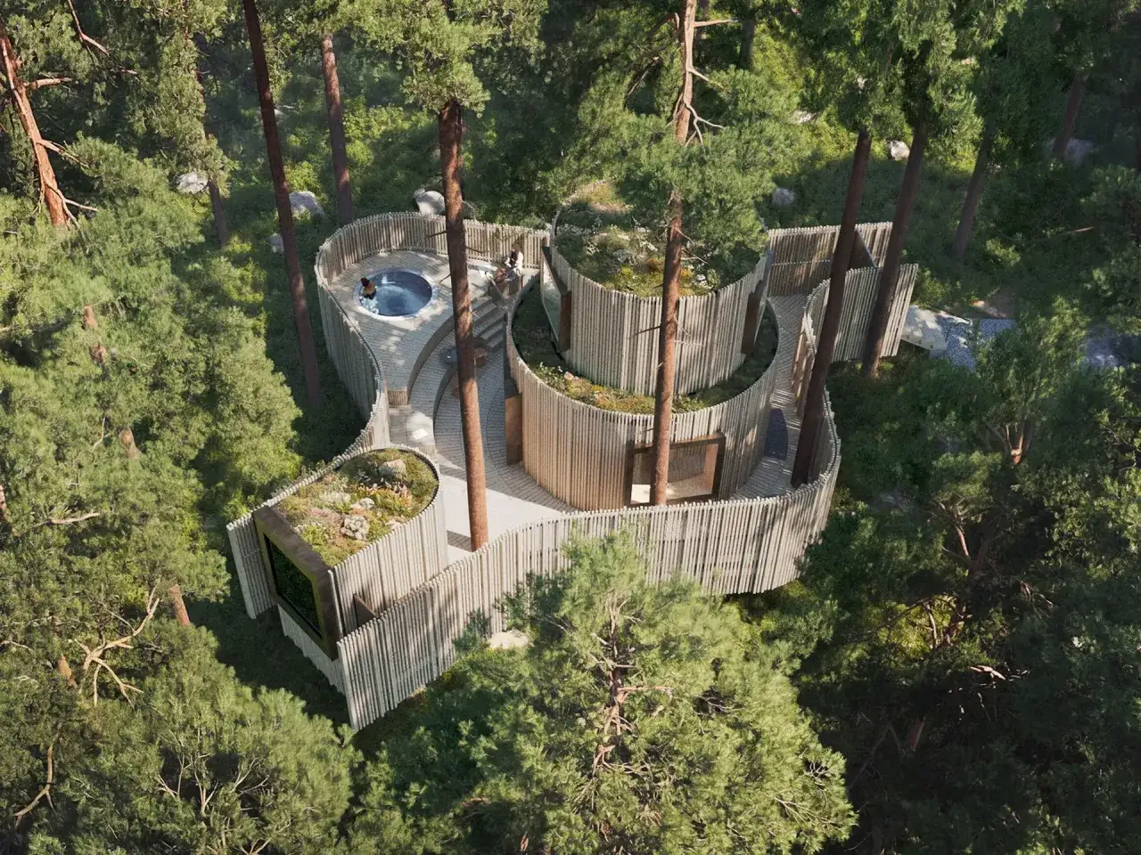 Unikt treehotel i Sverige, med bubbelpool och takträdgård, integrerat i skogen.