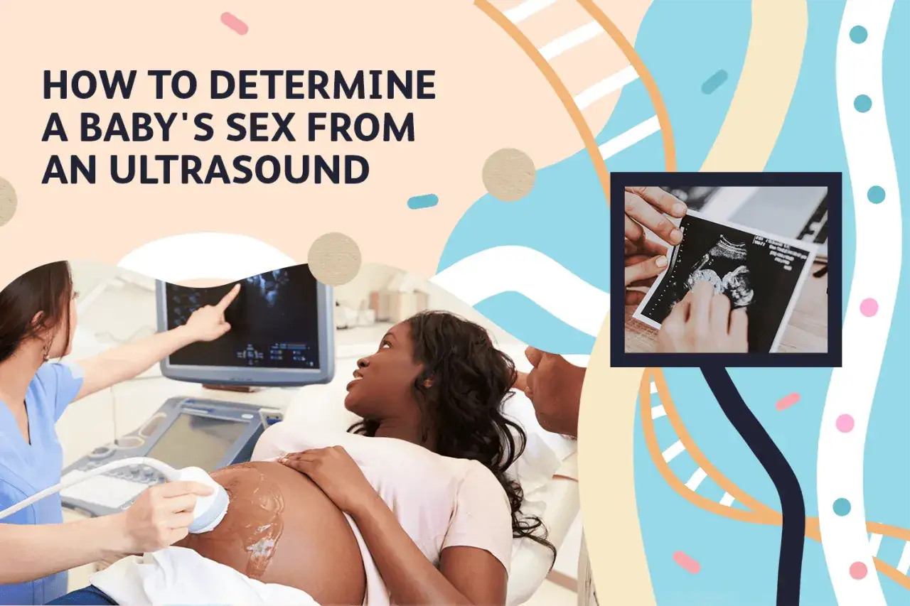Ultraschall-Bild zeigt, wie man das Babygeschlecht erkennt. Eine Ärztin führt den Ultraschall durch, während die werdende Mutter zusieht.