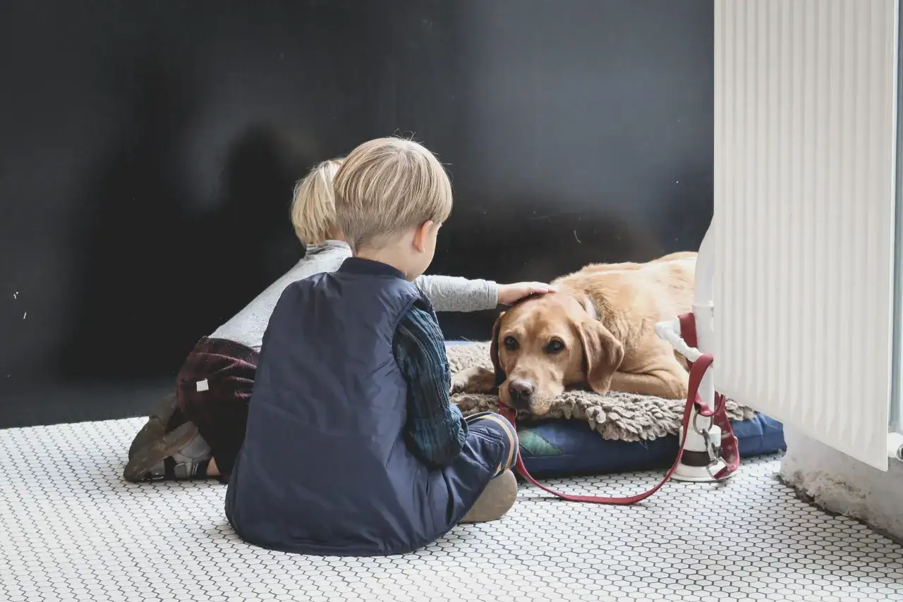 Bambini accarezzano un cane, un momento di affetto che, sebbene bellissimo, ci ricorda l'importanza di prevenire le malattie trasmesse dai cani ai bambini.
