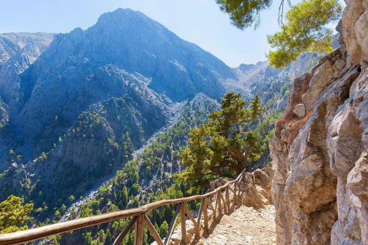 Sentier de randonnée en Crète, bordé d'une balustrade en bois, menant à travers des montagnes escarpées et une forêt dense.