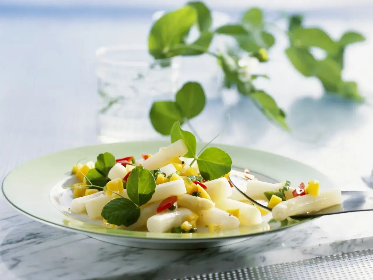 Ein frischer Spargel Mango Salat mit bunten Paprikast&uuml;ckchen und gr&uuml;nen Bl&auml;ttern, serviert auf einem hellgr&uuml;nen Teller.
