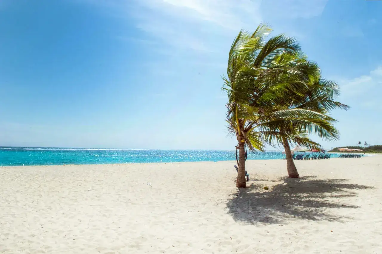 Idealne wakacje w Mozambiku: piaszczysta plaża, turkusowe morze i palmy kołyszące się na wietrze.